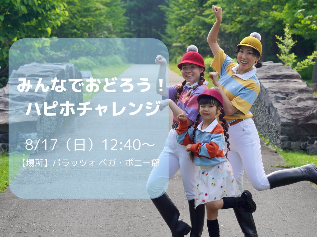 新品 未使用 希少ノーザンホースパーク プレミアムBOX 新商品 - 競馬グッズの通販サイト ノーザンホースパーク