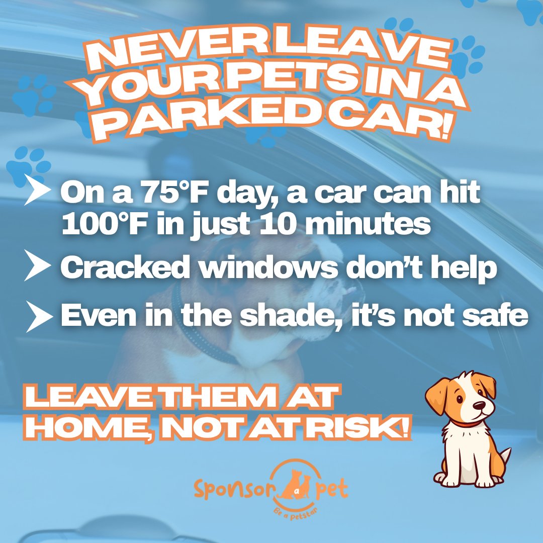 Sponsor_a_Pet's tweet photo. ☀️ Summer is here—and while we’re soaking up the sun, it’s important to keep our furry friends safe from the heat! 

Let’s keep tails wagging safely all summer long! 💛🐾

#SponsorAPet #SummerPetTips #PetSafety #HeatAwareness #PetParentTips #ProtectThePaws #AnimalWelfare https://t.co/VyZN8y3Fk1