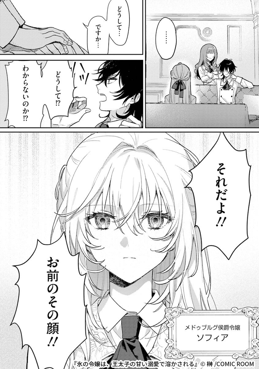 "鉄仮面"と呼ばれた無表情令嬢が王太子から溺愛される話
(2/5) 