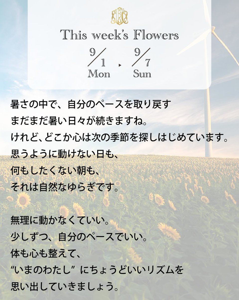 FlowermessageO's tweet photo. 🌻Lovely Morning!
9/1(月)〜9/7(日)の #WeeklyMessage
まだまだ暑い日が続きますが、心は少しずつ次の季節を探しはじめています。
思うように動けない日も、何もしたくない朝も、
それは自然なゆらぎです。
無理に急がなくていい。
少しずつ、自分のペースでいい。
体も心も整えて、“いまのわたし”にちょうどいいリズムを取り戻しましょう。
カードは1〜3の中から、直感で1枚お選びください🌸
#オラクルカード #FlowerMessage