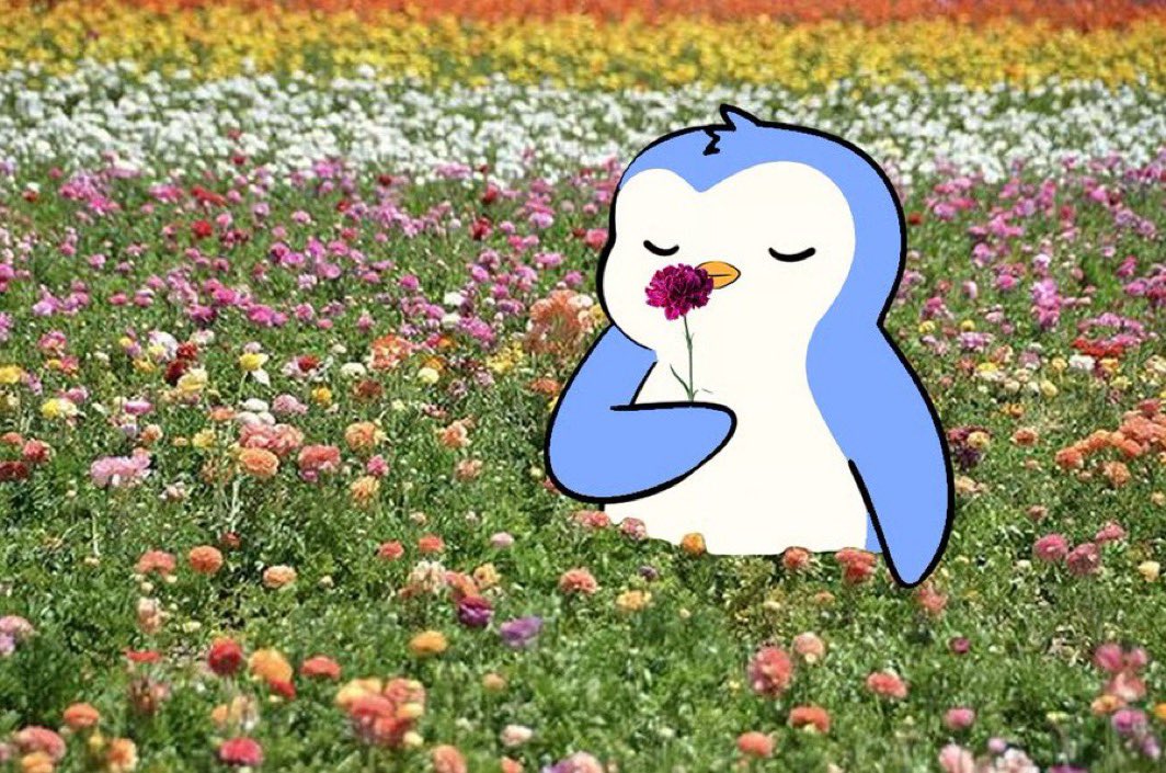KohRhys's tweet photo. Gm Penguins

it’s my bd today ❤️

All I wish is $pengu ATH today 🐧 https://t.co/v3edFgodlq