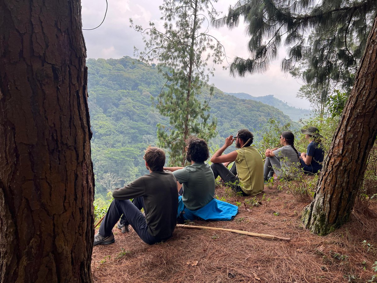 AHabinyanjja's tweet photo. When the view is this good, you don’t just take photos… you take memories. 🌄
 #BwindiMagic #NeckViewLodge https://t.co/FKX6io6i1m