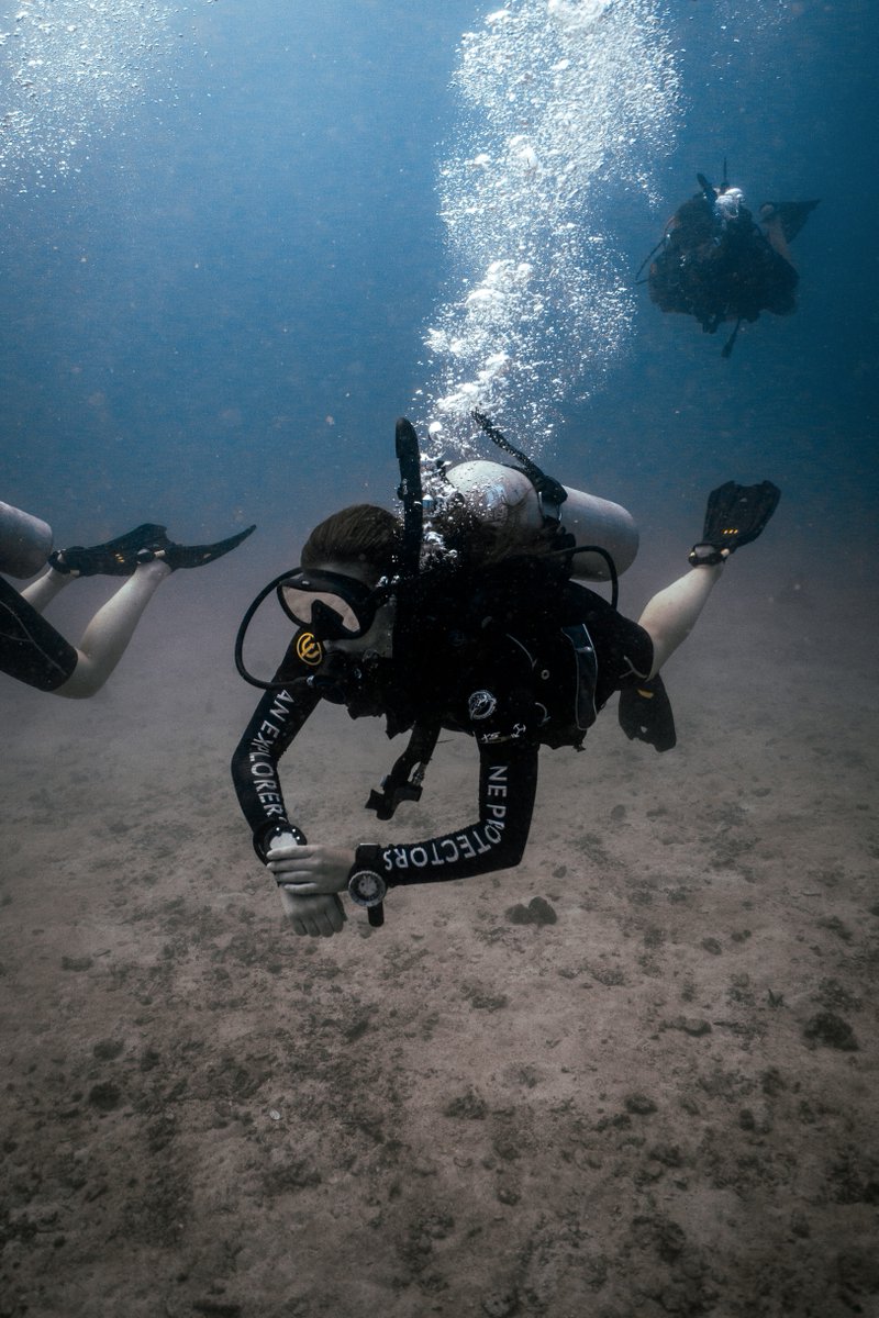 blackturtledive's tweet photo. Our dive team are experienced and highly knowledgeable dive professionals, familiar with the local reef ecology and dive sites. We will provide you with an enjoyable, fun diving experience. https://t.co/L6Ys3vi6yL #PADI #Diving #KohTao #Scuba #FunDive https://t.co/x3mGauSJts