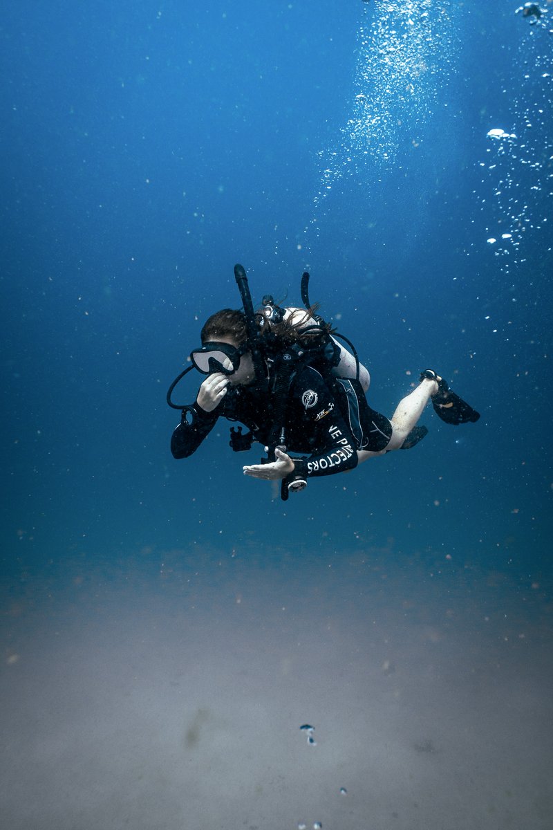 blackturtledive's tweet photo. Our dive team are experienced and highly knowledgeable dive professionals, familiar with the local reef ecology and dive sites. We will provide you with an enjoyable, fun diving experience. https://t.co/L6Ys3vi6yL #PADI #Diving #KohTao #Scuba #FunDive https://t.co/x3mGauSJts