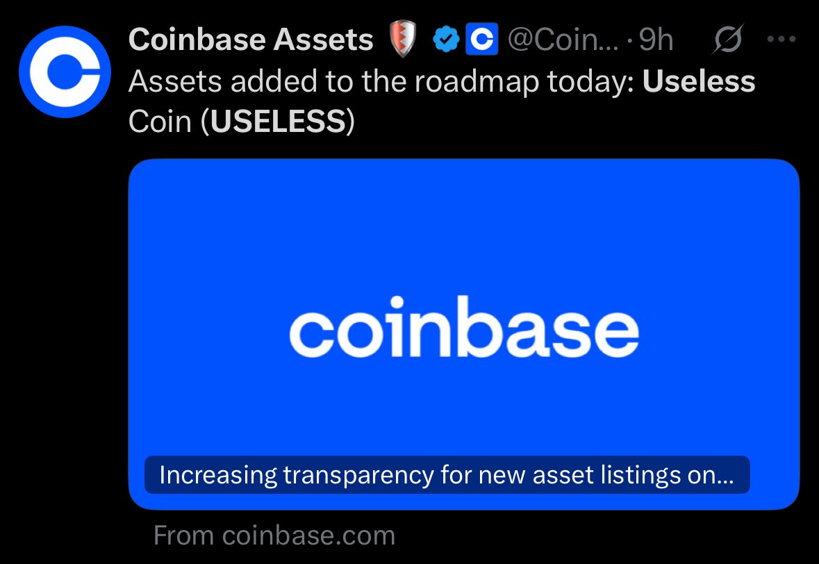 XBT.AVERY tweet media