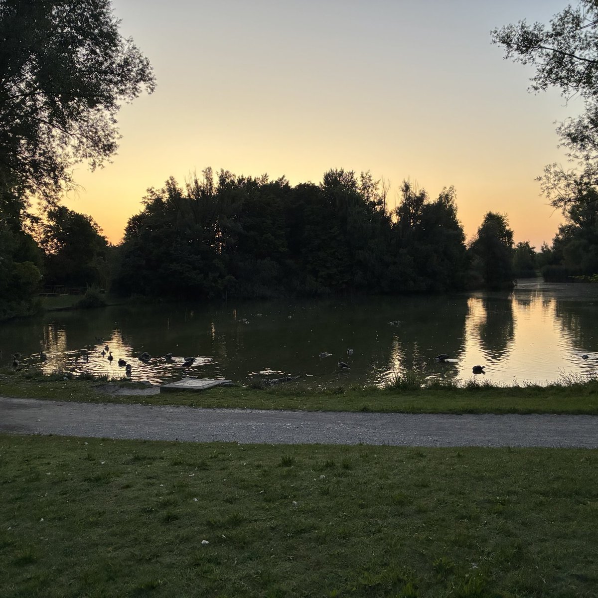 weissblauemacht's tweet photo. Guten Morgen #münchen
#langeswochenende 🤍💙😎🤟✌️😉 https://t.co/yy0zWDiEhI