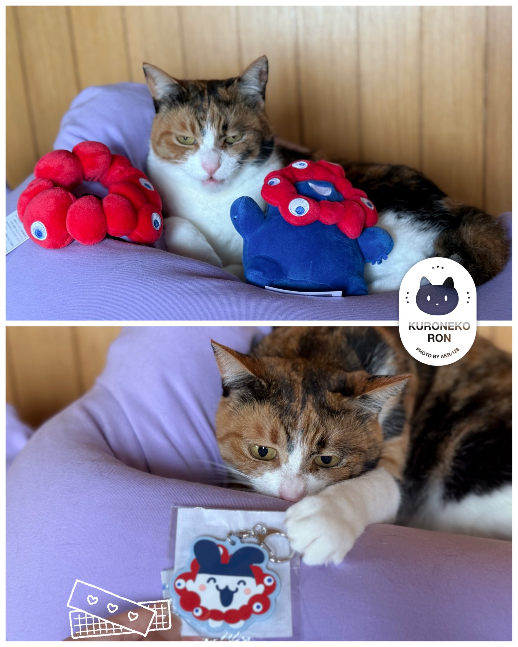 愛を運んできてくれる黒猫 ※額縁付き 愛を運んできてくれる黒猫 ※額縁付き 木野聡子 | Akiko Kino