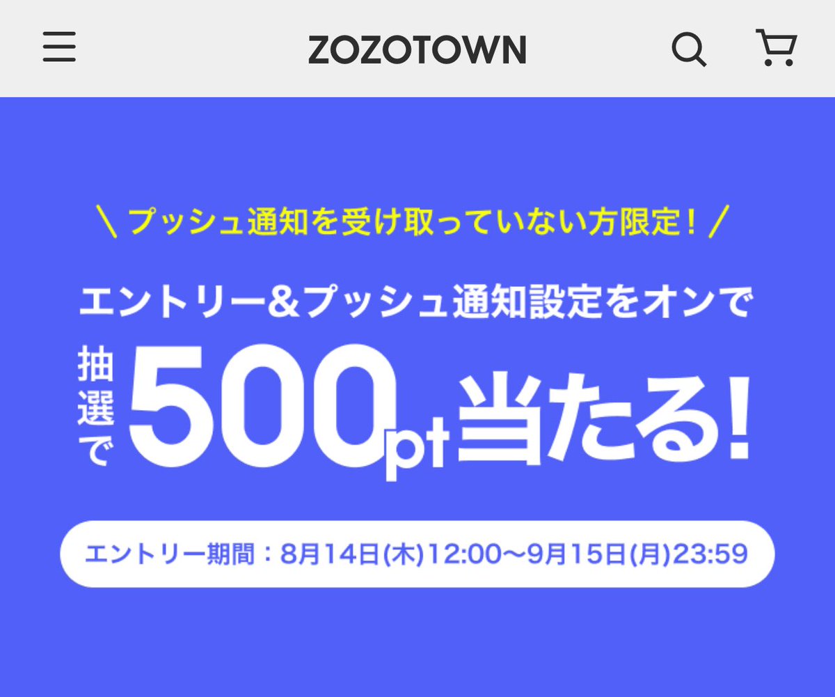 ZOZOTOWN アプリ プッシュ通知を受け取ってない方限定⚠️ エントリー+