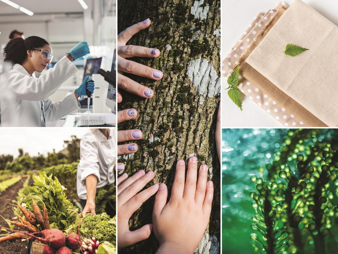 CBE JU is pleased to be featured together with the European Research Executive Agency in the latest CORDIS results pack 'Strengthening the EU’s prosperity through sustainable &amp; circular bioeconomy innovations', showcasing impactful #HorizonEurope projects: cordis.europa.eu/article/id/460…