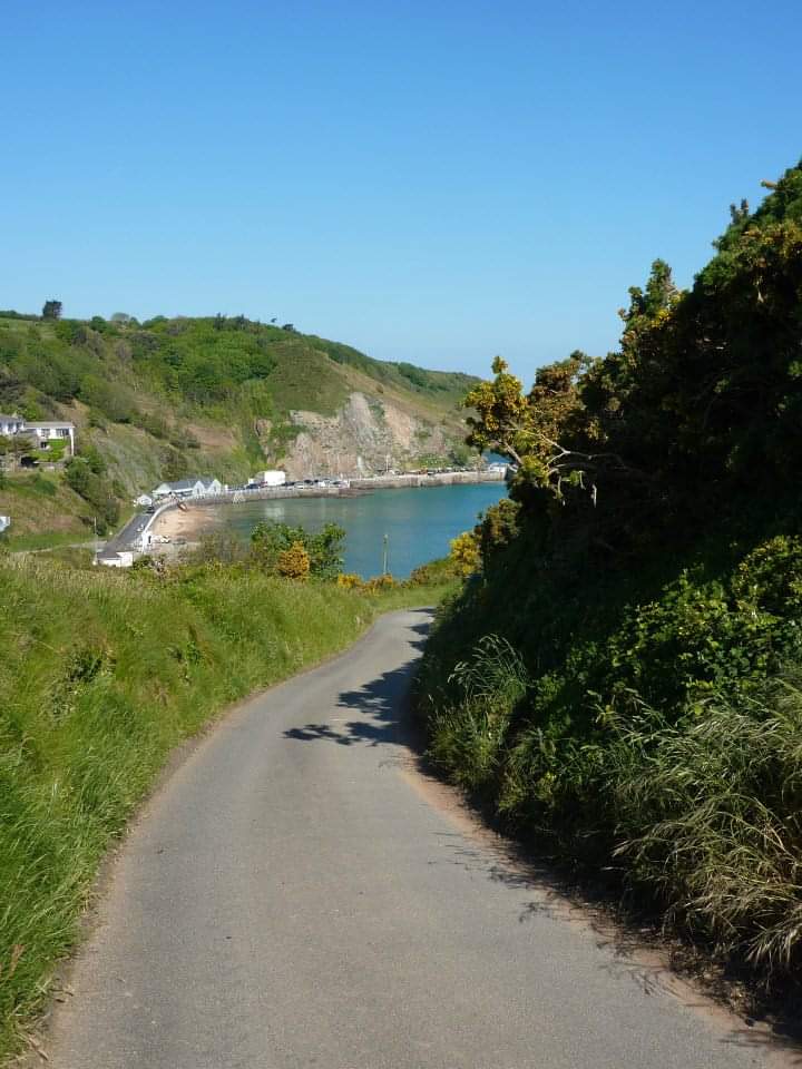 Lane of the day 🌳🍃🌿