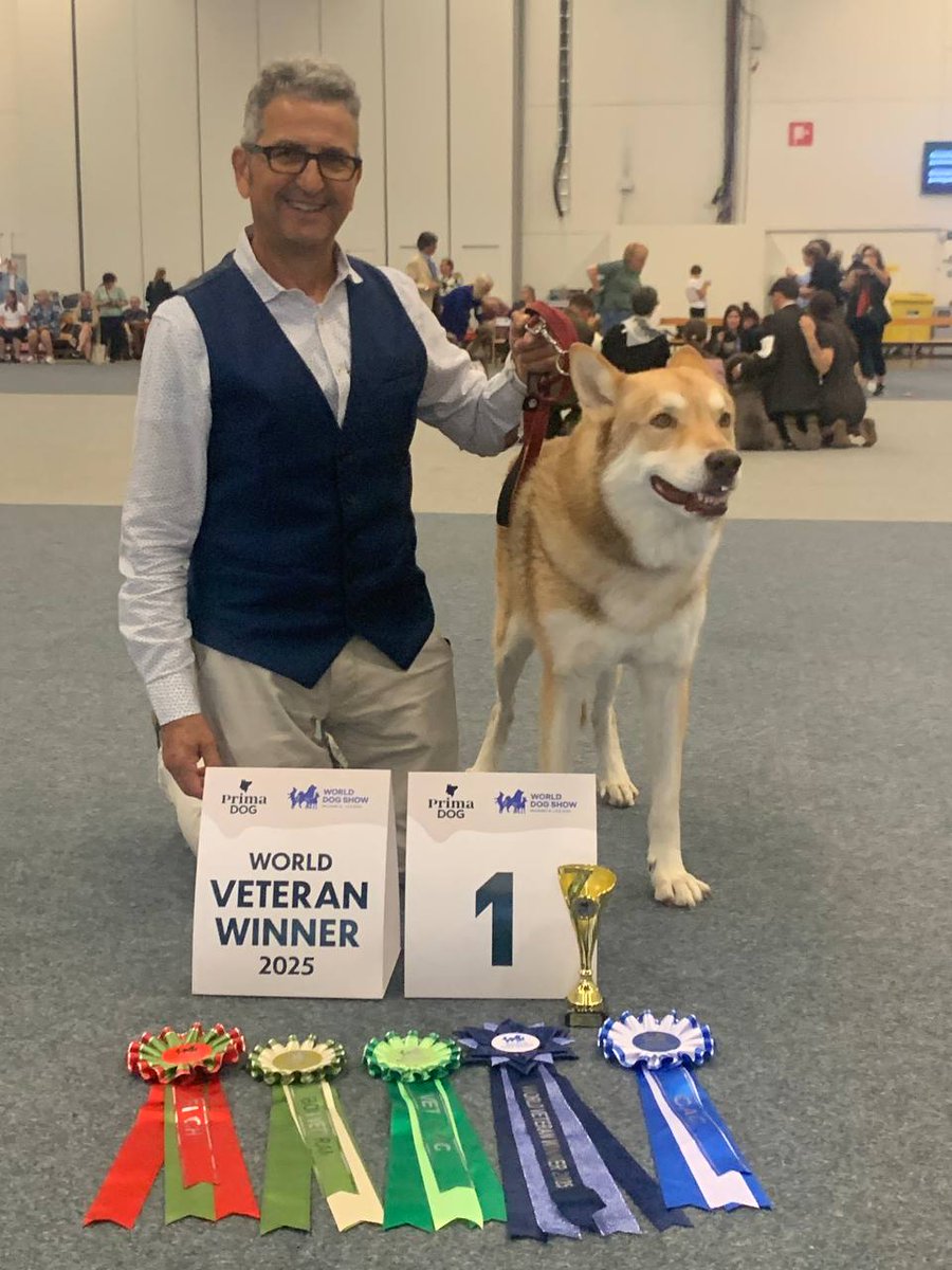 DiFossombrone's tweet photo. FOSSOMBRONE vince il CAMPIONATO MONDIALE DI HELSINKI 2025

2 Titoli Mondiali vinti e 3 Titoli di Campione Finlandese https://t.co/Kw3L8mrIE5