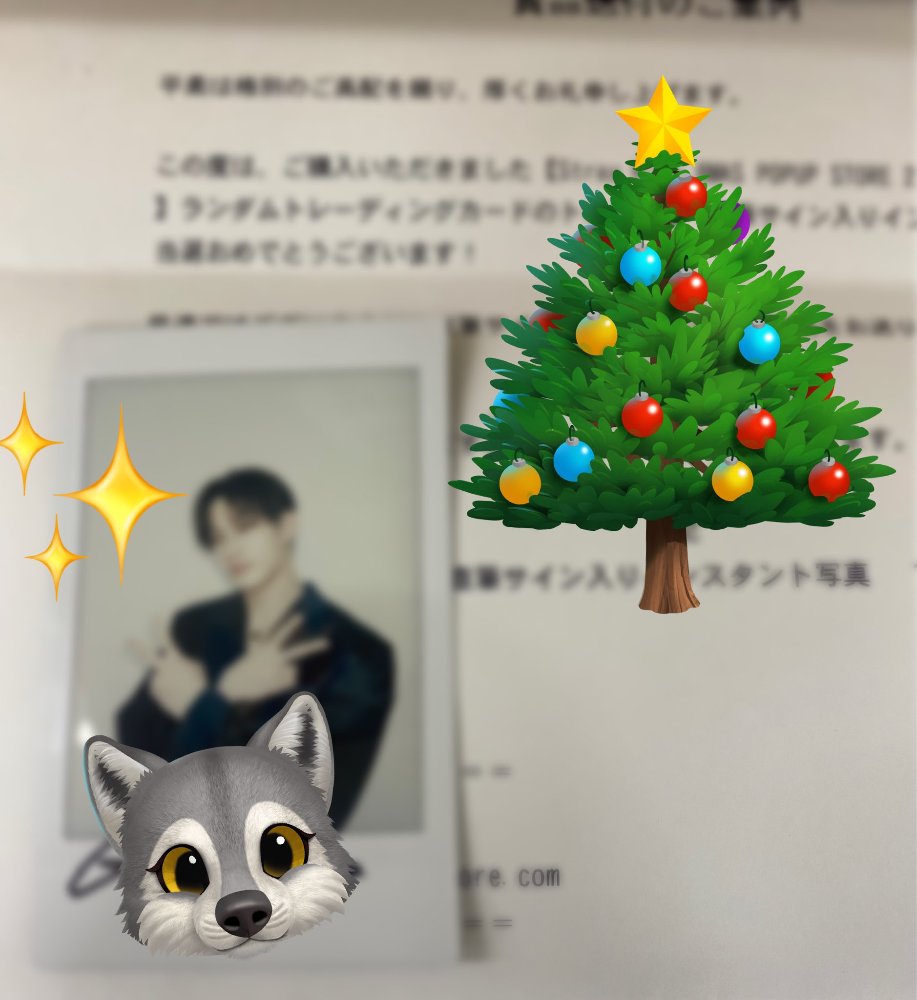 straykids 中華一直娱 yizhiyu 当選者限定 バンチャン　チェキ straykids 中華一直娱 yizhiyu 当選者限定 バンチャン チェキ