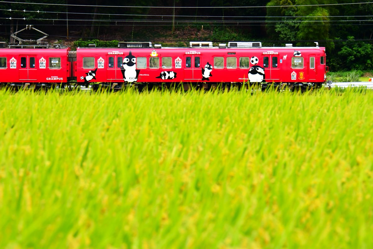 名古屋グランパスのラッピング電車 グランパスくんが5頭付いています