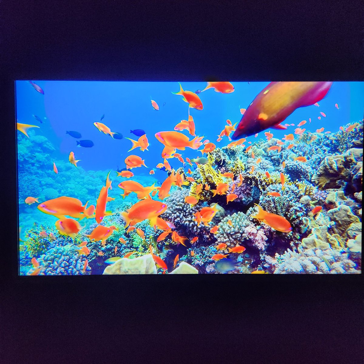 dokodemoissyo11's tweet image. 涼しくて楽しいです❗

#GalaxyZFold7 #GalaxyZFlip7 #UltraスペックならGalaxy #折りたたみスマホならGalaxy #GalaxyHarajuku