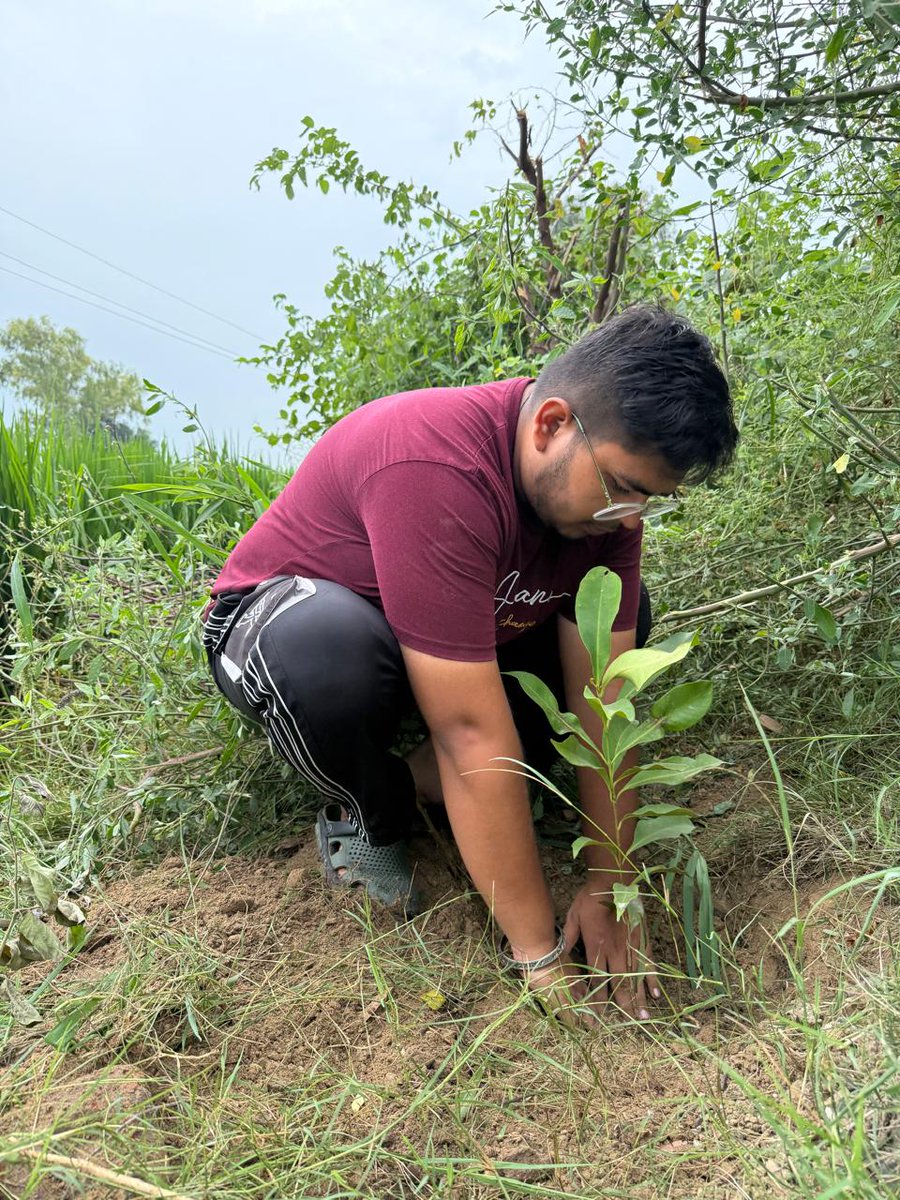 PB2878's tweet photo. #MyGiftToMSG# Planting trees today is gifting shade, air, and hope to tomorrow so we must be one Tree plant for our society. This is for the guidance of #SAINTMSG# https://t.co/ao0UBLbT8Z