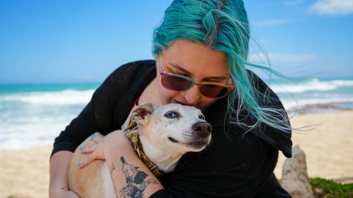 After almost 12 years, I have to say goodbye to my sweet boy, Blue. I am in a LOT of debt from escaping an abusive marriage and keeping up with Blue's chronic health issues. If you can spare anything or even just share, it would mean the world to me. gofund.me/e586b4a2