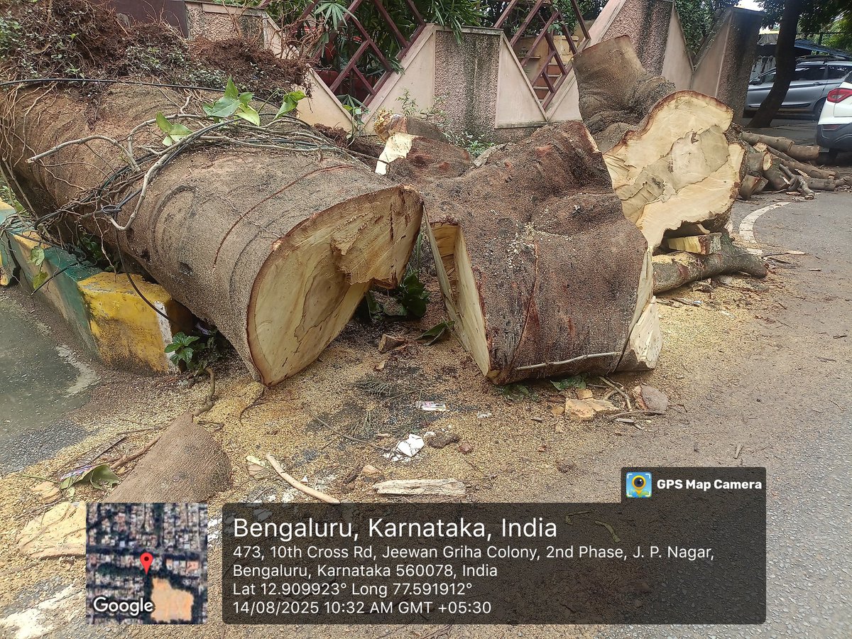 kapali7163's tweet photo. Repeated complaints, no action has been taken by BBMP to clear the fallen tree near VET School, JP Nagar. The tree has been lying there for several days, blocking part of the road and footpath, It is disappointing.
 @bbmpcommr @DKShivakumar @BBMPofficial @BBMPAdmn @BBMPCOMM https://t.co/dUrpEsUdS4
