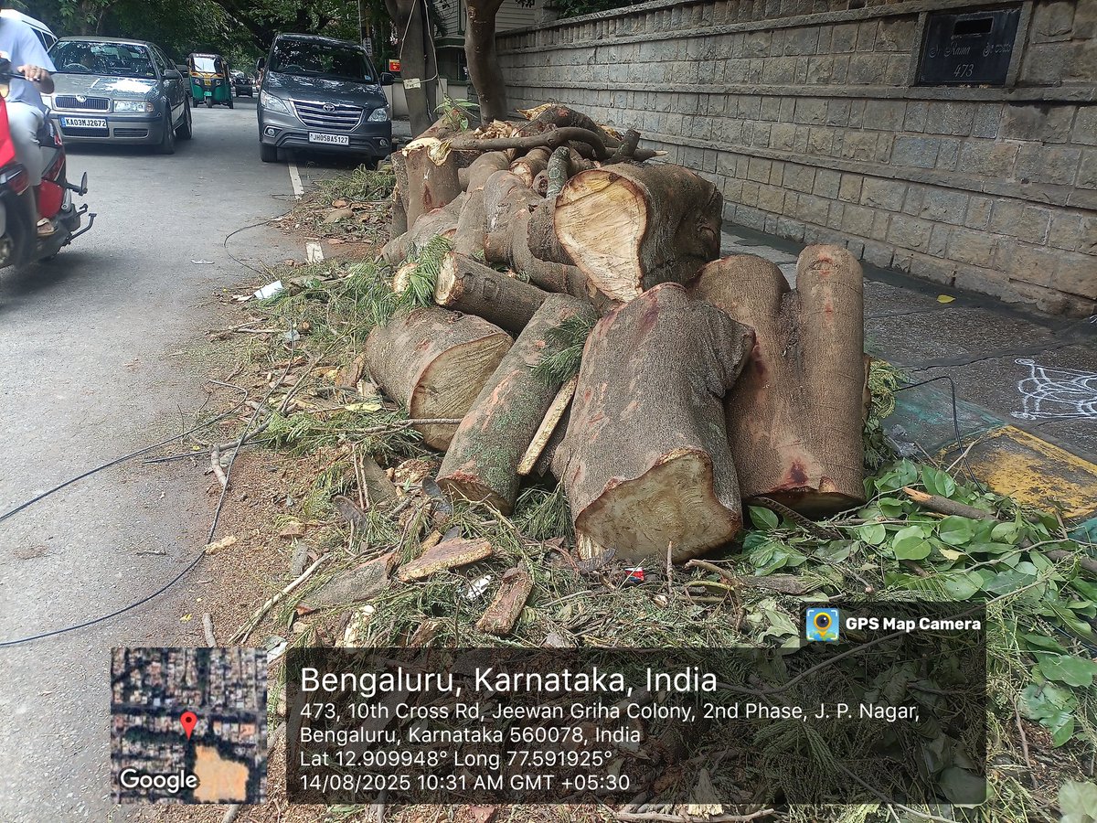 kapali7163's tweet photo. Repeated complaints, no action has been taken by BBMP to clear the fallen tree near VET School, JP Nagar. The tree has been lying there for several days, blocking part of the road and footpath, It is disappointing.
 @bbmpcommr @DKShivakumar @BBMPofficial @BBMPAdmn @BBMPCOMM https://t.co/dUrpEsUdS4