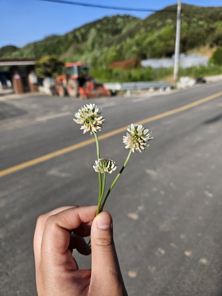 Mundal_farming's tweet photo. 가끔 들어와서 구경 90% 트윗 10%
일상계겸 미묘한 식물계정
대학생에서 전직.. 초보 농부👨‍🌾 https://t.co/fKpw7hpxHg