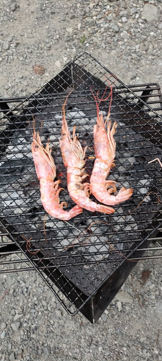 youhigu's tweet photo. 先日、丹沢で、キャンプしました。
BOSCOさんにお世話になりました。キャンプ場内に川もあり子どもは、かなり楽しんでました。管理も行き届いていて、いいキャンプ場でした！
#キャンプ https://t.co/VgHGtPBlF9