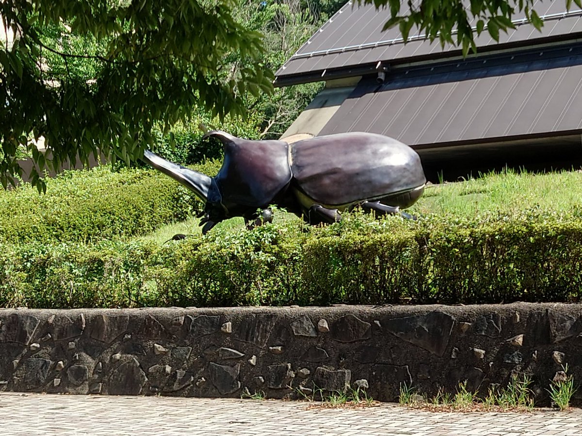 でっけーカブトムシ！