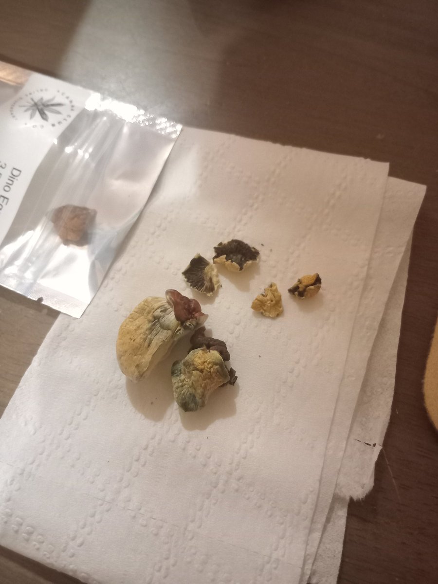 Kisduwb's tweet image. August 13 2022.
RIPMYLUV 
Went for a nature walk... beaded some deadly ass auntie earrings &amp;amp; took some shrooms to end my night.

Fuck I miss you. 
I luv you.
#LUV2LUVU
#RJBB