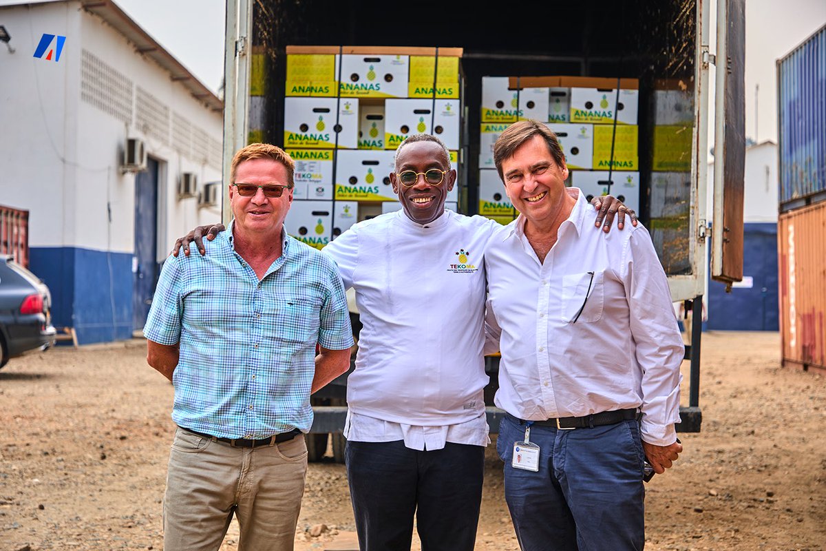 IrebeFM's tweet photo. 🍍 Le Burundi exporte ses trésors tropicaux : cap sur l’Europe !

Le 8 août 2025, une première cargaison test de 2,8 tonnes d’ananas a quitté le #Burundi à destination de la #Suisse via l’entreprise TEKOMA. 
Ce lancement vise à démontrer la capacité des entreprises burundaises à assurer une logistique fiable, garantissant la qualité et la fraîcheur des produits jusqu’aux marchés européens.

D’autres expéditions sont déjà prévues : avocats en septembre (4 tonnes) et mangues en novembre, avec un objectif ambitieux de 560 tonnes d’avocats et 50 tonnes d’ananas et de mangues par an. 
Le client principal : COOP Suisse, qui a classé les ananas burundais parmi les meilleurs pour leur qualité exceptionnelle et leur saveur unique.

Pourquoi l’ananas burundais séduit :
- Riche en vitamine C et en bromélaïne (anti-inflammatoire naturel)
- Aide à la digestion, hydrate, raffermit la peau
- Faible en calories et riche en antioxydants

Produits dérivés :
Jus, confiture, fruits séchés, conserves, vinaigre, vin, poudre, fibres textiles écologiques (piña), et extraits médicinaux.

Le Burundi prouve qu’avec des coopératives bien organisées, ses fruits tropicaux ont toute leur place sur les étals du monde.