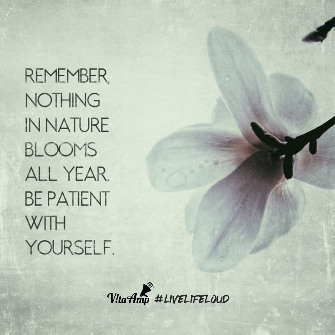 NickySchoriSnr's tweet image. VitaAmp #LIVELIFELOUD