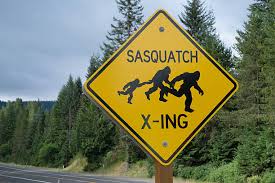 A friend was driving and had something run across the road in front of them.  they thought it might have been a small bear.  I assured them it was a young Sasquatch based on the fact that they were unable to take a picture of it!