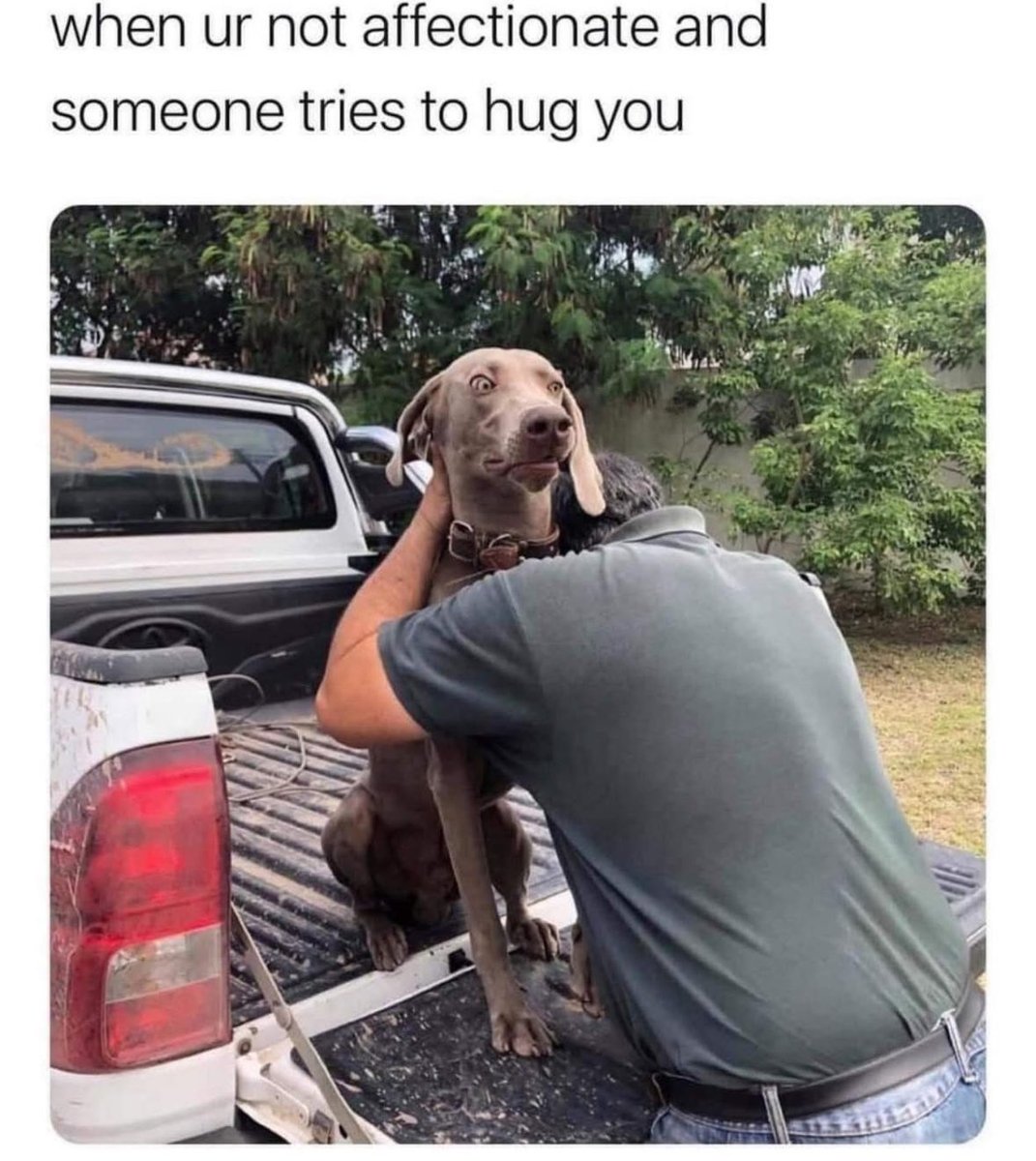 RespectfulMemes's tweet photo. https://t.co/FTeoIklL5g