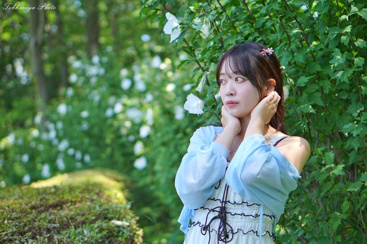 〈白い花〉

写る人：ひな さん
<a href="/Hina___Shooting/">Hina【ひなリンピック】東北の写る人</a>