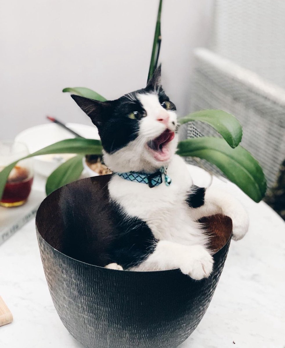 Crypto make me feel like this