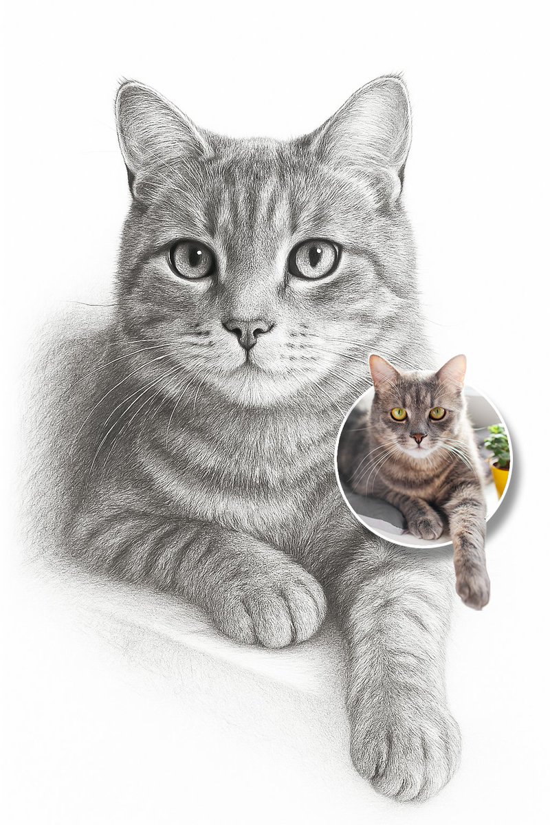 讓毛孩，成為故事裡的主角。
記錄牠的樣子，也刻劃牠的靈魂。