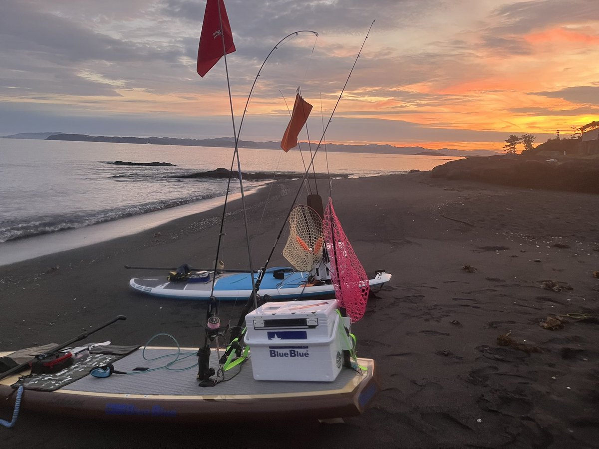 fisherman1209's tweet photo. 南房SUPフィッシング
久しぶりの南房総で今期初青物！
かなり渋い状況でしたが、最後にショゴ①
シイラを3連続バラシは痛かった😭
イルカが至近距離で泳いでました、南房総の自然は素晴らしい👍
車中泊して場所変えて明日リベンジ！ https://t.co/DAygI9zPr3
