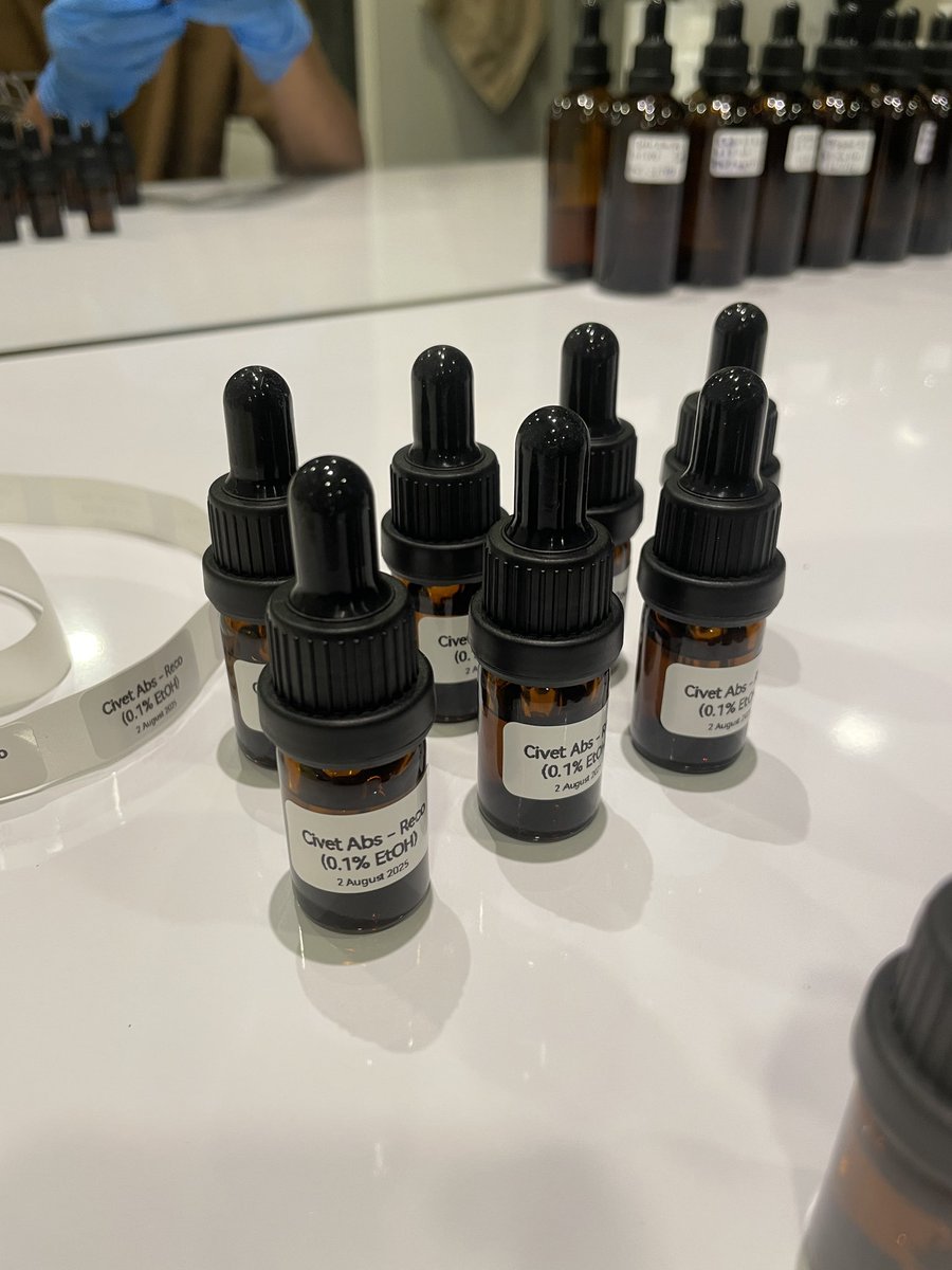 Aus Meshi tweet media