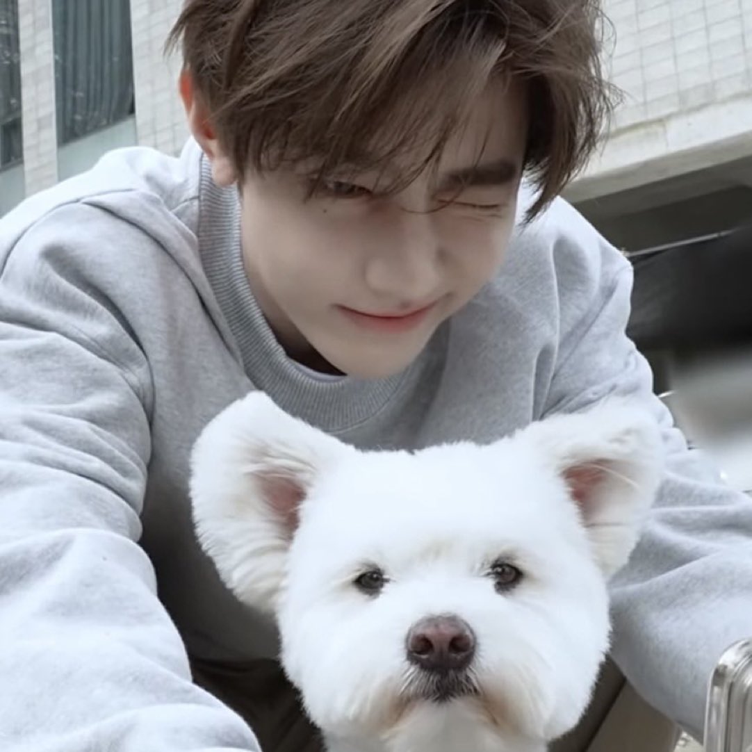 장하오 얼굴 (@zhanghaoface) on Twitter photo 