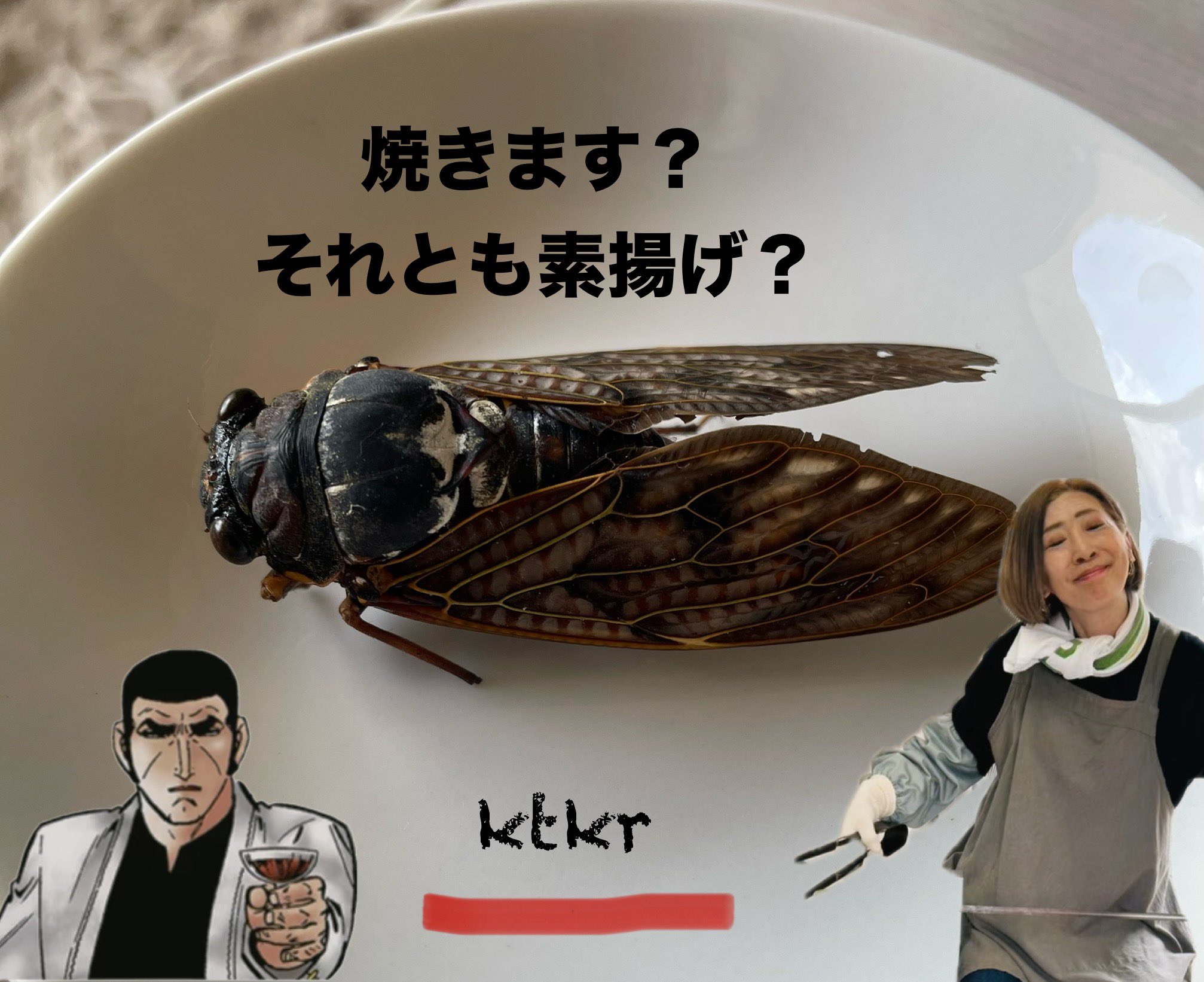 おろちん I grilled some high-quality grouper on the stove and it was