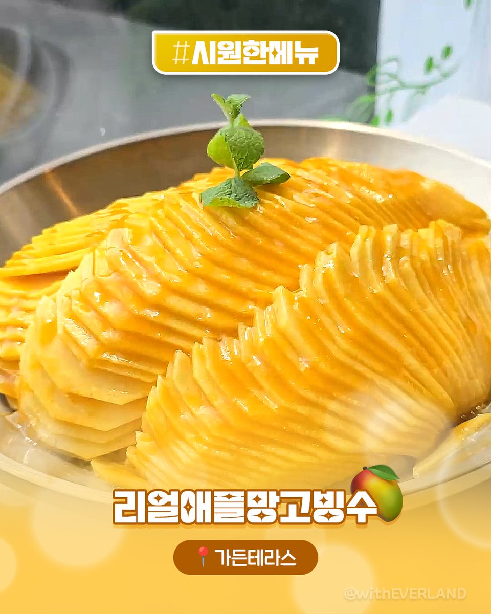에버랜드의 밤은 COOL 하다구요🌃

낮엔 시원한 워터 공연💦 
밤엔 불꽃과 음악🎆
먹고 즐길거리까지 시원한 라인업✨