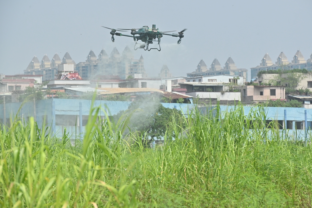 ChinaDaily's tweet image. Guangdong province has brought the mosquito-borne #chikungunya outbreak under control after a weekslong battle, but health experts have warned that vigilance needs to be maintained in the face of wet weather patterns in South China. #mosquito bit.ly/45Pa8DR