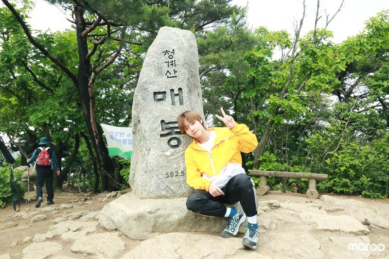 dohwi0529 tweet picture