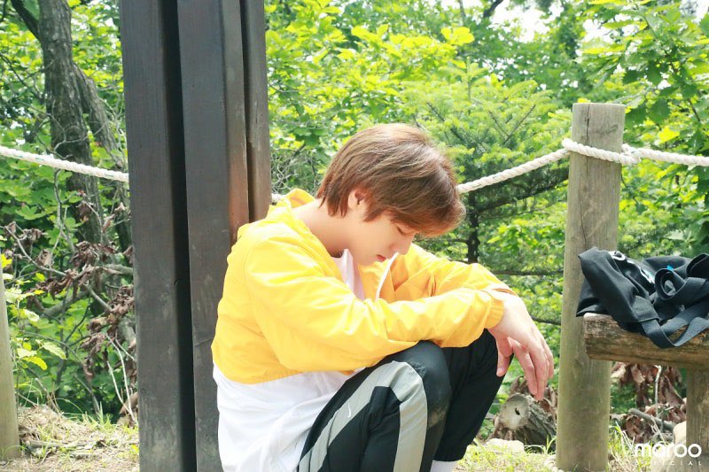 dohwi0529 tweet picture