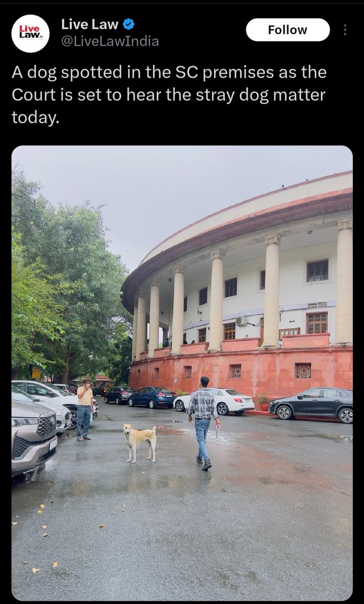 #War2Review
#CoolieReview 
#War2Celebrations 
#PSGTOT 
😂😂