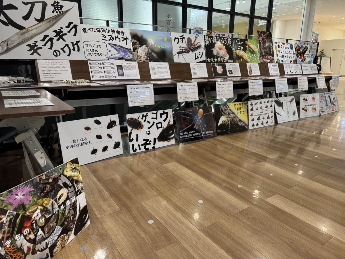 tmunathis's tweet photo. イオンモール多摩の2階三井住友銀行前にて、8/12-8/22で展示会を行なっています〜🔥
お手隙の方、イオンに足を運ばれる方、ぜひ立ち寄って見ていただければと思います‼️
RPしている動画もぜひご覧くださいませ🦅 https://t.co/H4uTqAE0q5