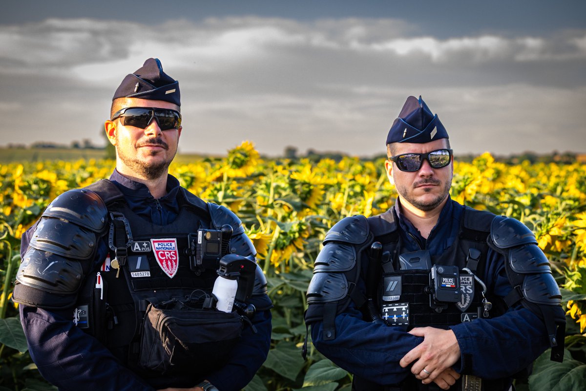 PoliceNationale's tweet photo. #JeudiPhoto | 🌻 Sur la photo : Alpha, Bravo et Omega-6 https://t.co/2dQGAgWRB5
