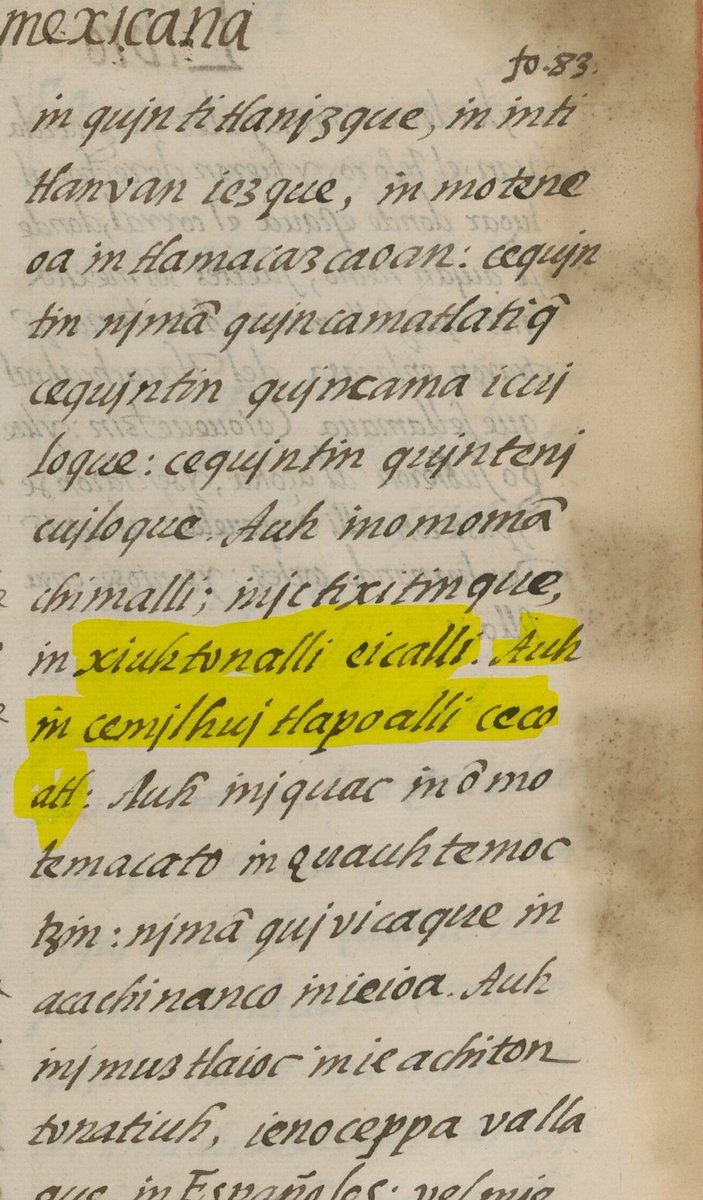 En el Capítulo Cuadragésimo del Códice Florentino, este capítulo describe la rendición de Cuauhtémoc ante el capitán español (Cortés). Tras su entrega, los españoles disparan sus armas al aire y proceden a ocupar la ciudad. Se narra la caótica y dolorosa huida de la población