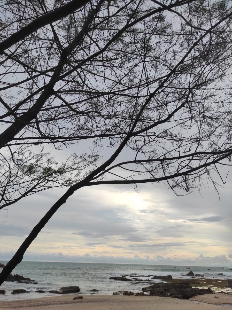 seraphimete's tweet photo. sea, sea lid https://t.co/Re7ZyiID7D