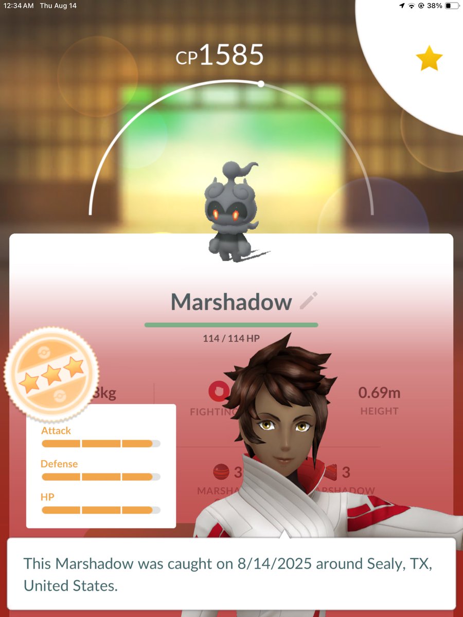 333Veronica's tweet photo. Finally got the marshadow  #pokemongo https://t.co/YLEVMyBRZ6
