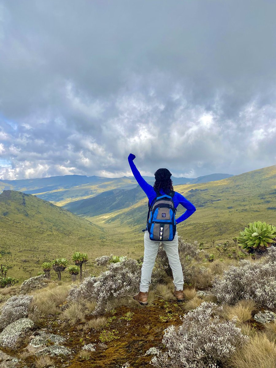 outdoorerke's tweet photo. 🚶♂️ Satima via Wandare — this Saturday! 🌄
Adventure’s calling. Come have an Outdoorer experience like no other!
Join us and let’s make this hike unforgettable! 🥾
.
.
.
#Satima #Aberdares #Outdoorer #TrailCommunity #LoveForTheOutdoors
#hikingwithoutdoorer #OutdoorerMoments #NatureHeals #hikingvibes #MountainTherapy #OutdoorerAdventures #HikinginKenya #NatureCalling #HikingAdventures #OutdoorEscape #HikingCommunity #NatureLovers #StepIntoAdventure #HikeMore #HikingLife #AdventureAwaits #HikeWithOutdoorer #StartYourAdventure #ExploreMore #OutdoorerHikes
#ConquerYourself #TrailTherapy #HikeMoreWorryLess #NatureEscape #Nature