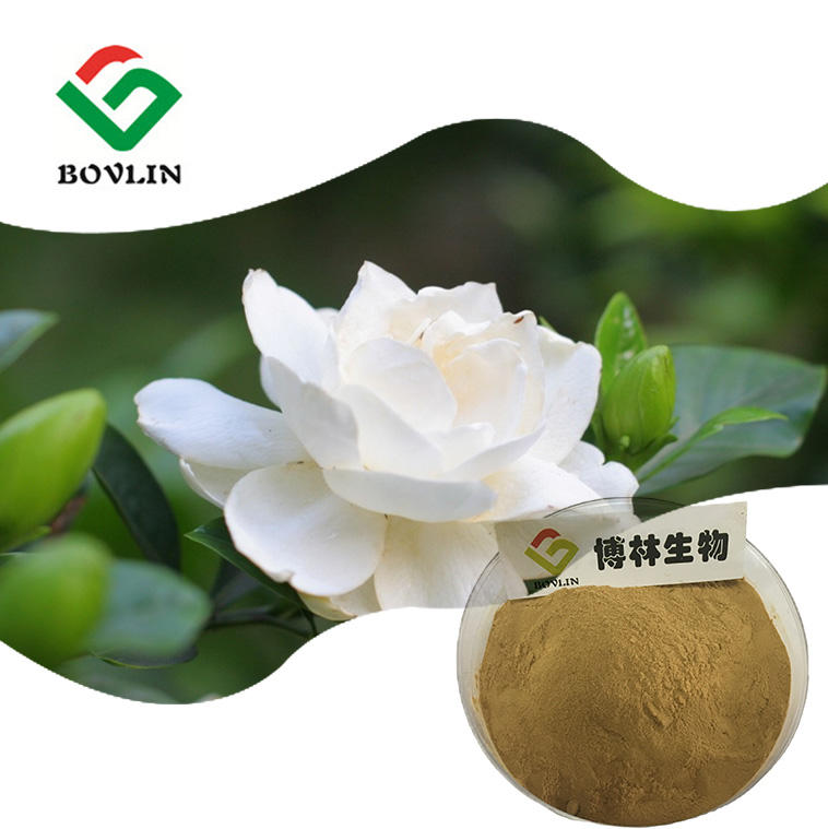 bovlin_herb's tweet image. 🌿 Discover the Power of Gardenia Extract! 
✅ Rich in Antioxidants 
✅ Neuroprotective Effects
✅ Liver &amp;amp; Heart Health 
✅ Anti-Inflammatory –
✅ Skin Brightening 
#BotanicalExtract #NaturalAntioxidants #BrainHealth #SkincareIngredients #Nutraceuticals #PlantBased #AntiAging
