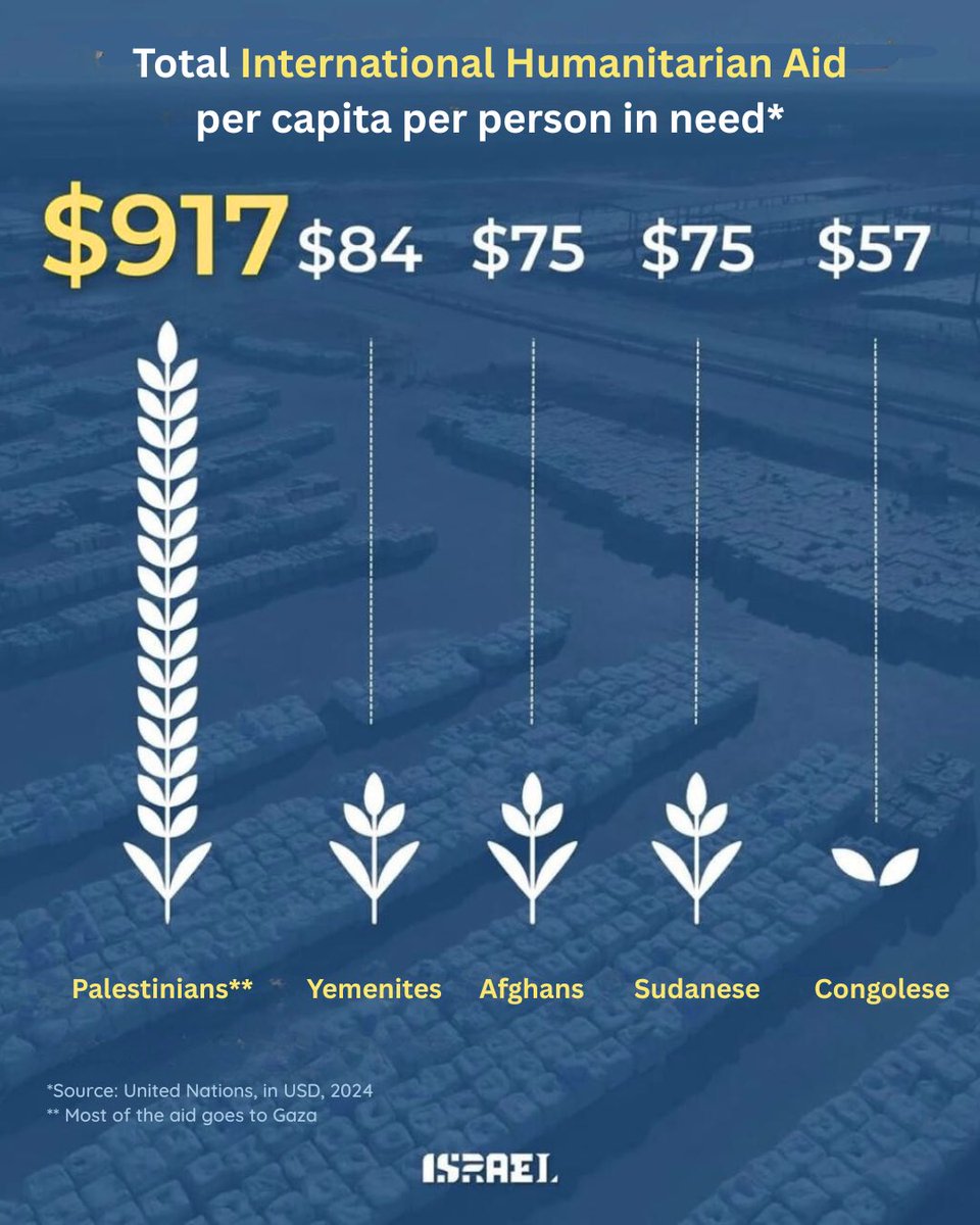 Famine in Yemen.
War in Sudan.
Crisis in Congo.
Yet Palestinians receive 10 to 35 times more aid per capita than people in need in other conflict zones. 
All persons in need are equal, but apparently some are more equal than others.